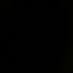 Meet your Posher, Sophie