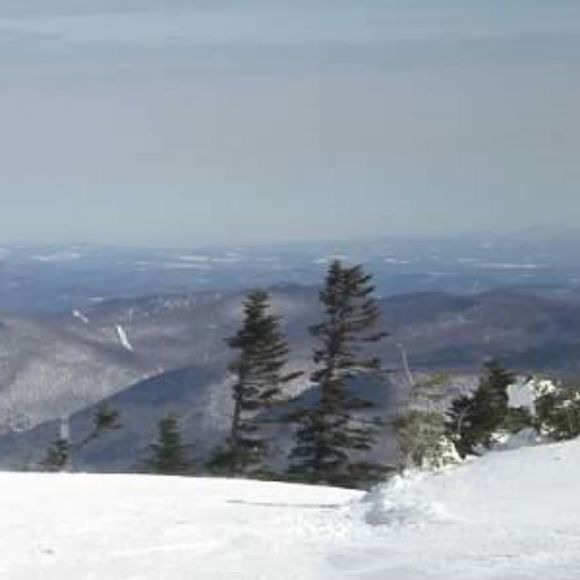 Meet your Posher, Shawn