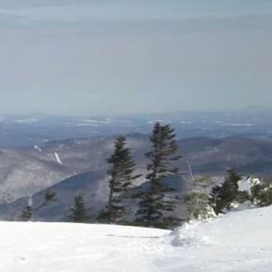 Meet your Posher, Shawn