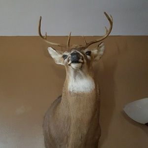 Meet your Posher, Stacy