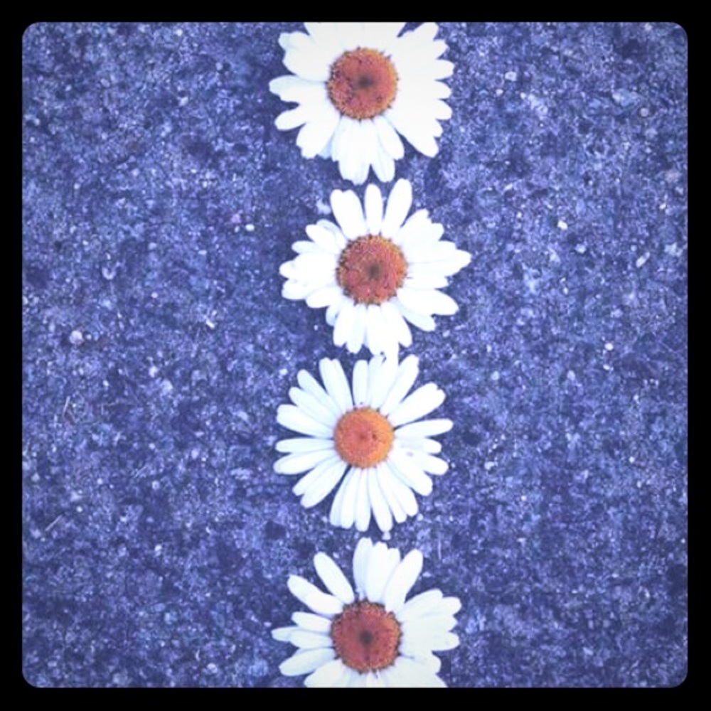 Meet your Posher, Alexis