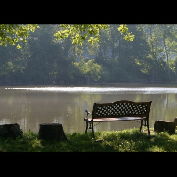 Meet your Posher, Renee - Picture 1 of 1