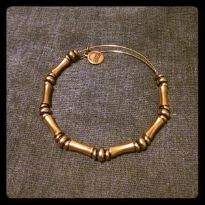 Alex and Ani Gold Bamboo Bracelet!