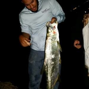 Meet your Posher, Nicholas