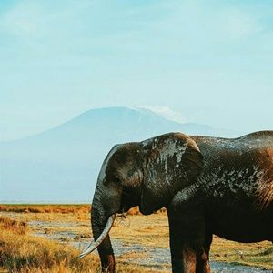 Meet your Posher, Agnes