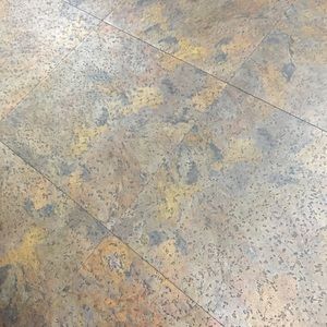 Meet your Posher, Lily