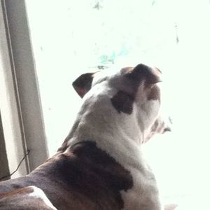 Meet your Posher, Thomas