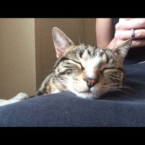 Meet your Posher, Brynn