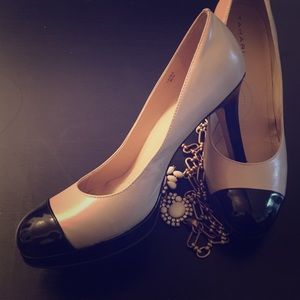 Timeless Tahari Classics