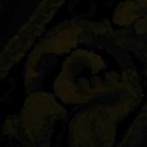 Meet your Posher, Nena