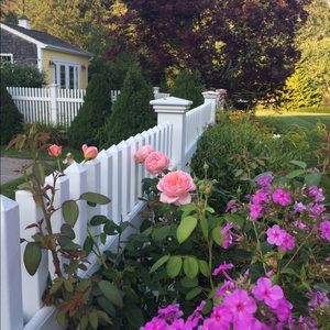 Meet your Posher, Elaine