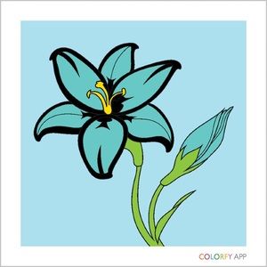 Meet your Posher, Bethann