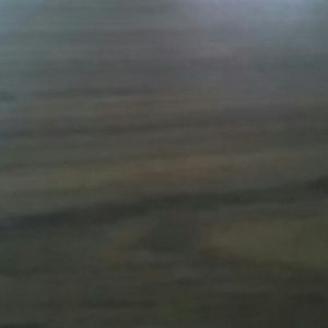 Meet your Posher, Tierra