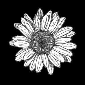 Meet your Posher, Daelyn