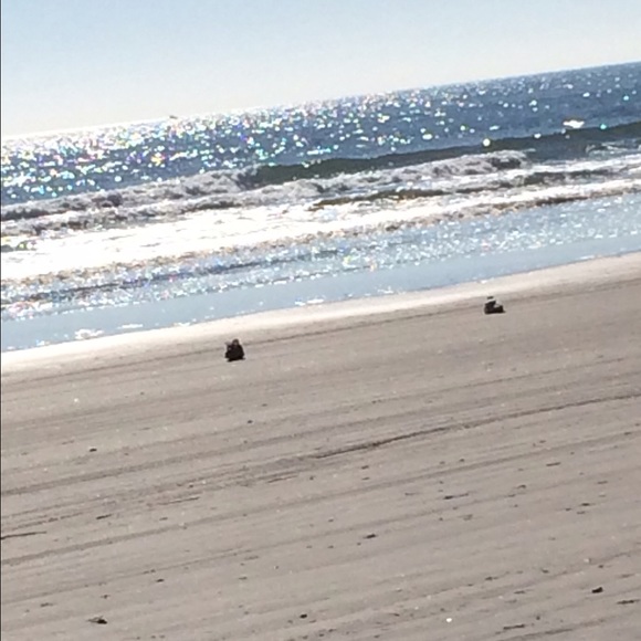 Meet your Posher, Robin - Picture 1 of 1