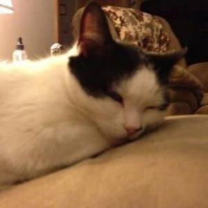 Meet your Posher, Joan