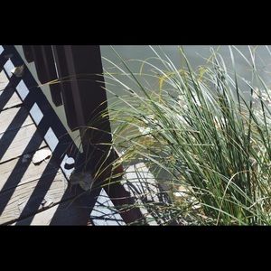 Meet your Posher, Gracia