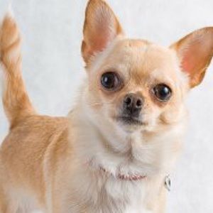 Meet your Posher, Katy