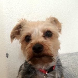 Meet your Posher, Deenee