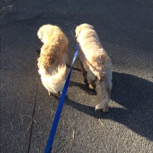 Meet your Posher, Anne