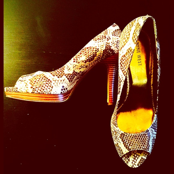 Snakeskin classics