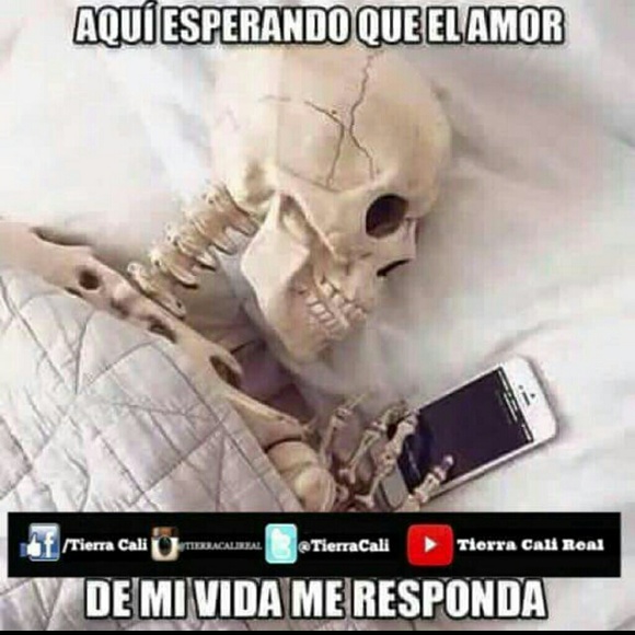 Meet your Posher, Isaac - Picture 1 of 1