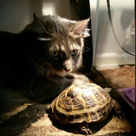 Meet your Posher, Viktoria - Picture 2 of 3