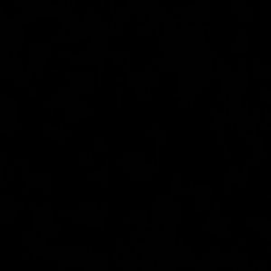 Meet your Posher, Dimple