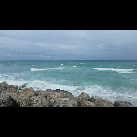 Meet your Posher, Cassie - Picture 1 of 1