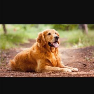 Meet your Posher, Steph