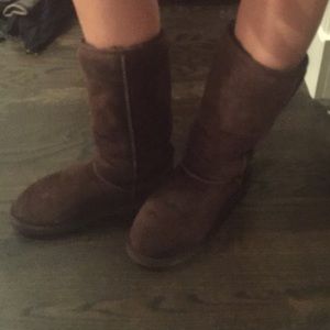 Brown Tall Uggs