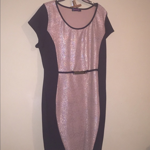 Black & Taupe Dress W/ shimmery accents Plus Size!
