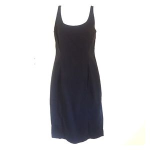 Express stretch dress