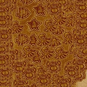 Meet your Posher, Marlene