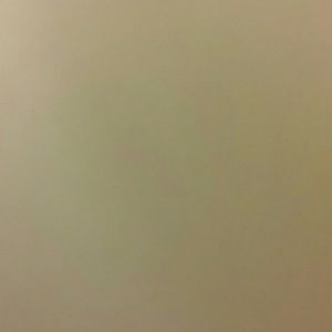 Meet your Posher, Janel