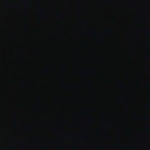 Meet your Posher, Teddy