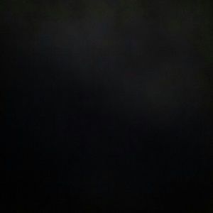 Meet your Posher, Love