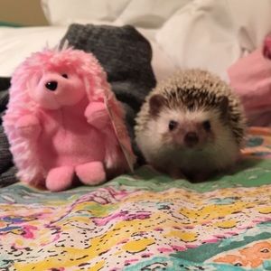 Meet your Posher, Erica