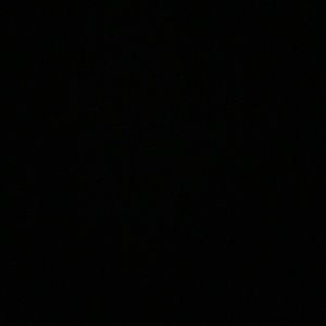 Meet your Posher, Riley