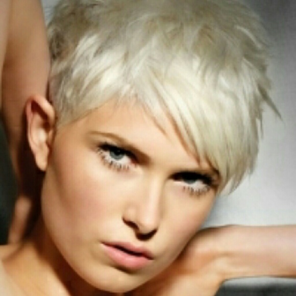 Meet your Posher, Natasha - Picture 1 of 1