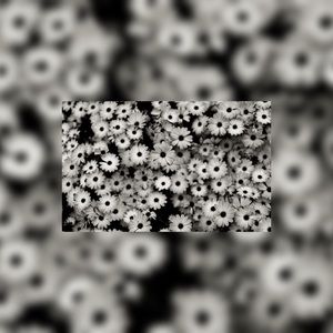 Meet your Posher, Ciara