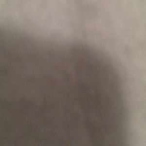 Meet your Posher, Aminata