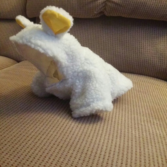 Small dog lamb jacket