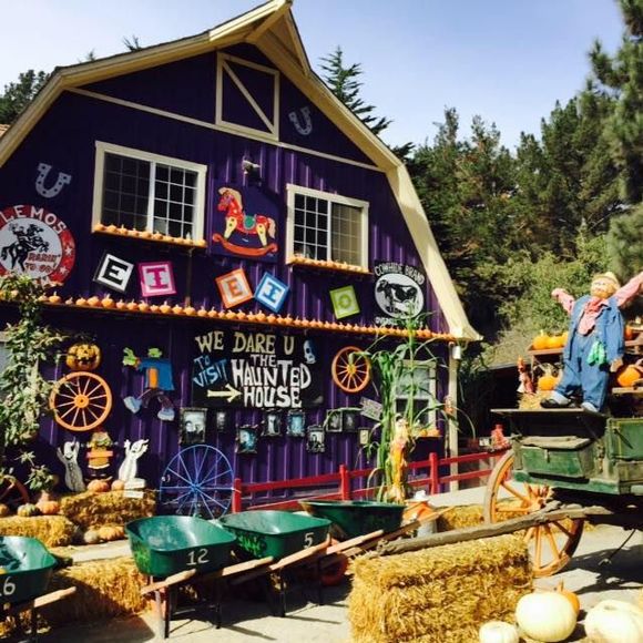 Meet your Posher, Chiang - Picture 1 of 1