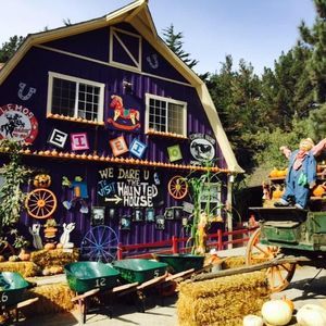 Meet your Posher, Chiang