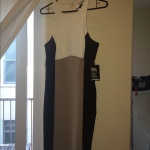 NWT Express Color Block Sheath Dress Size 8