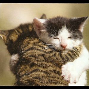 Meet your Posher, Aundrea