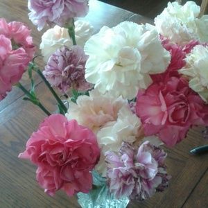 Meet your Posher, Lori