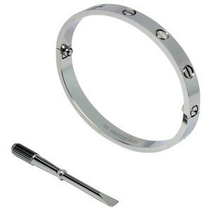 Stainless steel silver bracelet with screwdriver