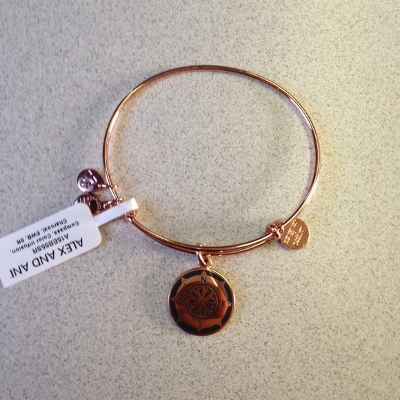 Compass Alex and Ani